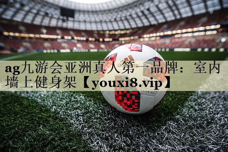 ag九游会亚洲真人第一品牌：室内墙上健身架
