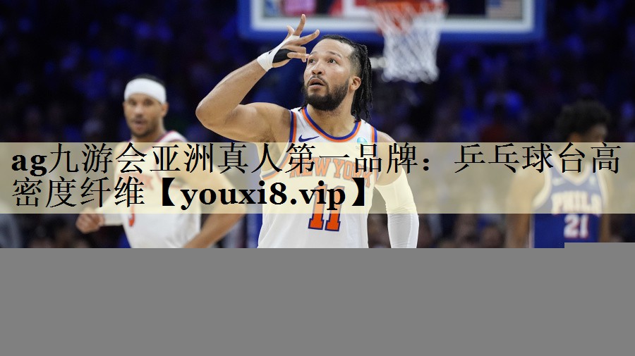 乒乓球台高密度纤维